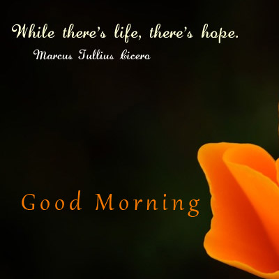 Hope Good Morning Quotes Good Morning Images Wishes and Quotes